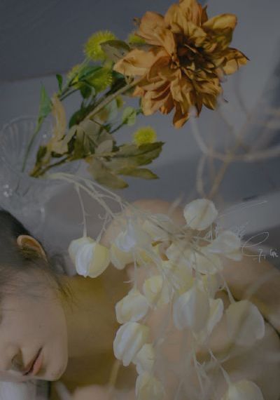 欧美每一视频网_高清日韩免费观看